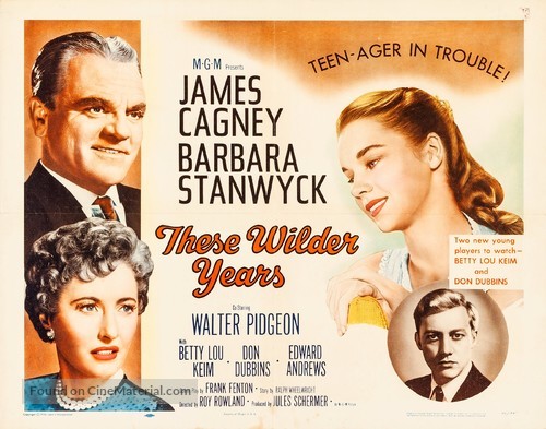 These Wilder Years - Movie Poster