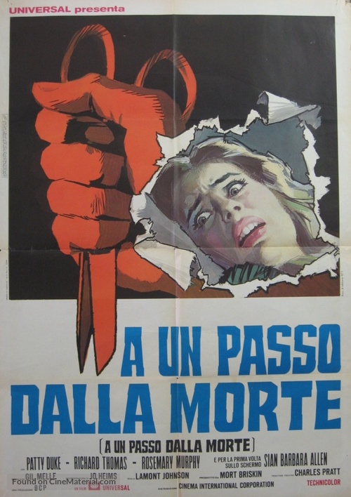You&#039;ll Like My Mother - Italian Movie Poster