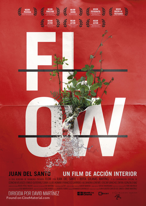 Flow - Spanish Movie Poster