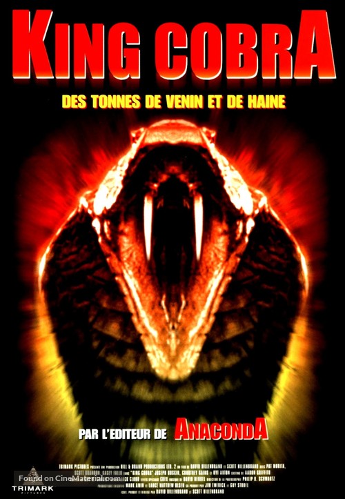 King Cobra - French DVD movie cover