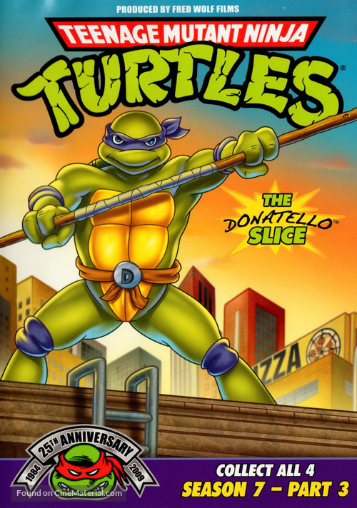 &quot;Teenage Mutant Ninja Turtles&quot; - DVD movie cover