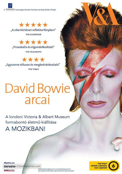 David Bowie Is Happening Now - Hungarian Movie Poster