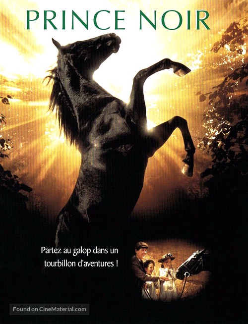 Black Beauty - French DVD movie cover