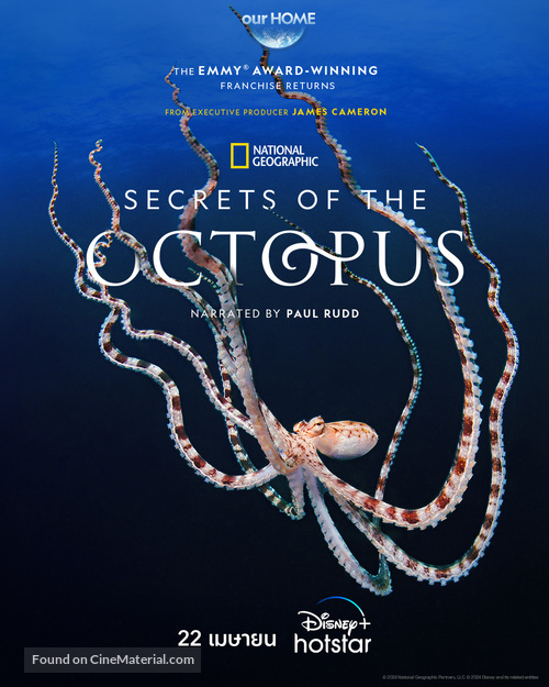 Secrets of the Octopus - Thai Movie Poster