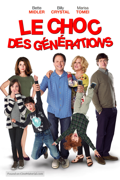 Parental Guidance - French DVD movie cover