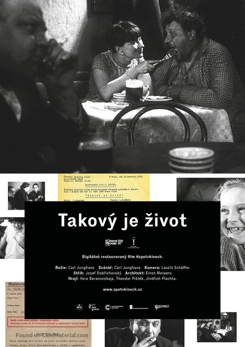 Takov&yacute; je zivot - Czech Movie Poster