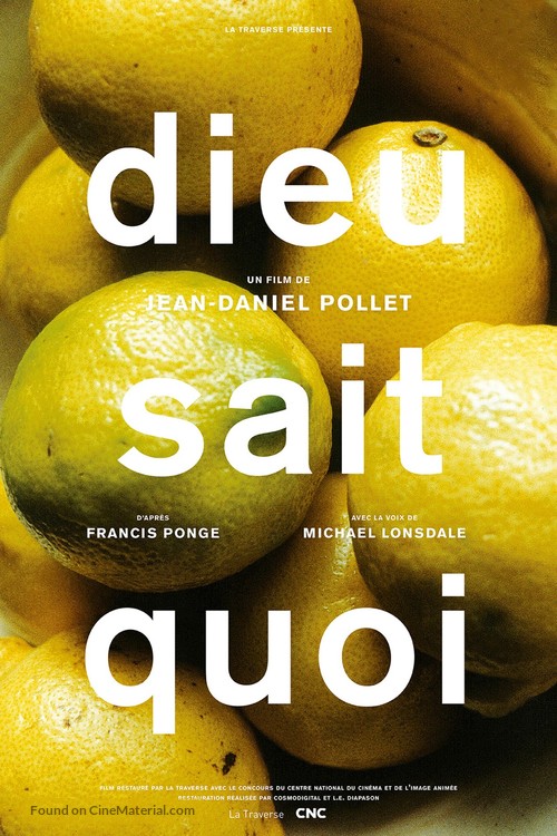 Dieu sait quoi - French Re-release movie poster