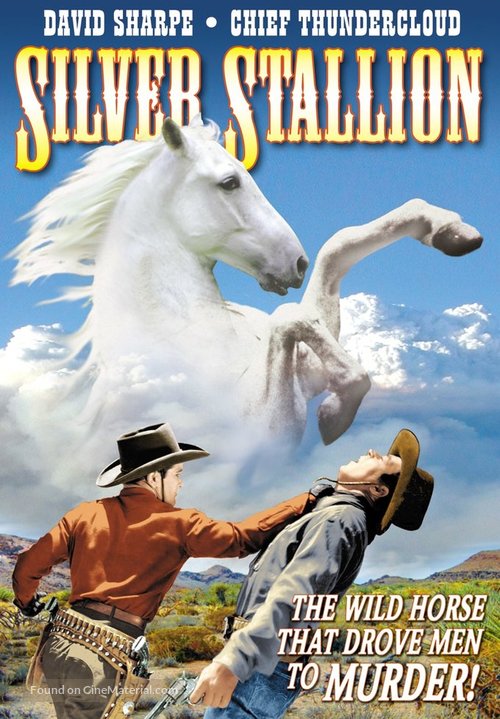 Silver Stallion - DVD movie cover