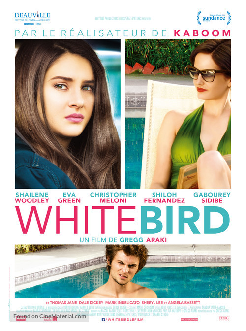 White Bird in a Blizzard - French Movie Poster