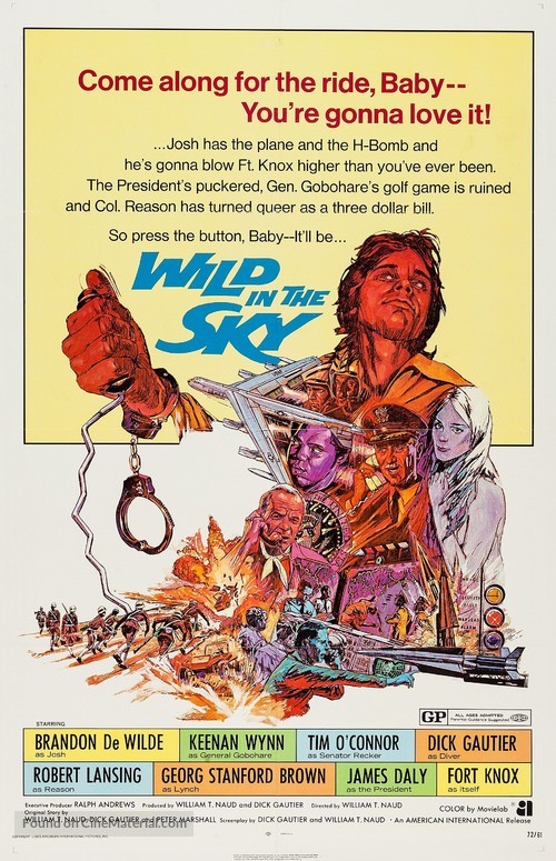 Wild in the Sky - Movie Poster