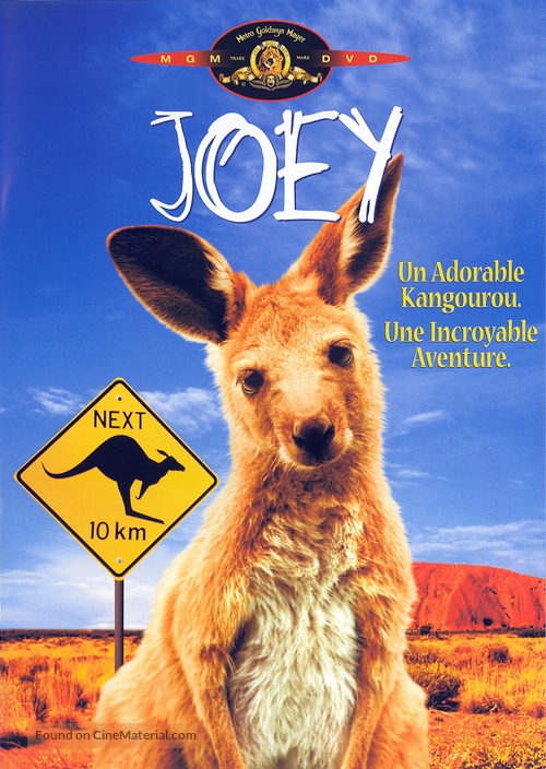 Joey - French DVD movie cover