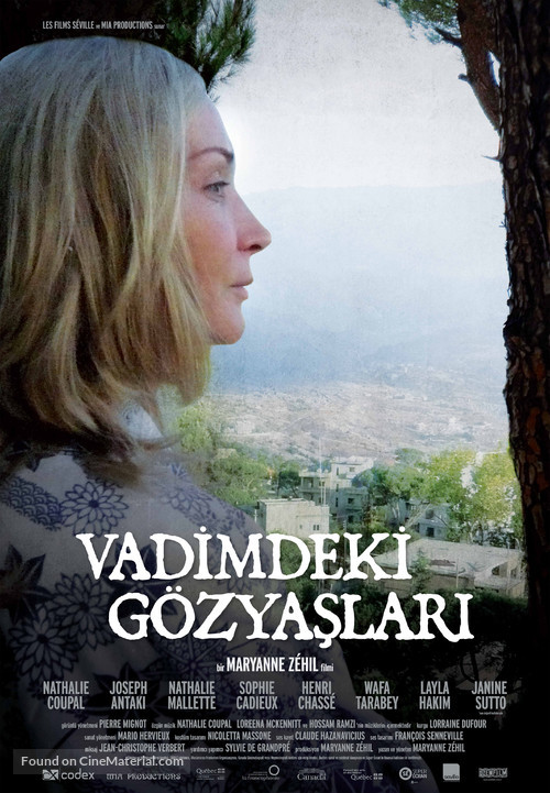 La vall&eacute;e des larmes - Turkish Movie Poster