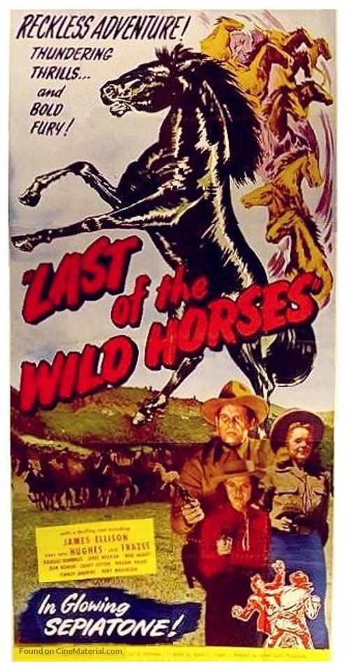 Last of the Wild Horses - Movie Poster