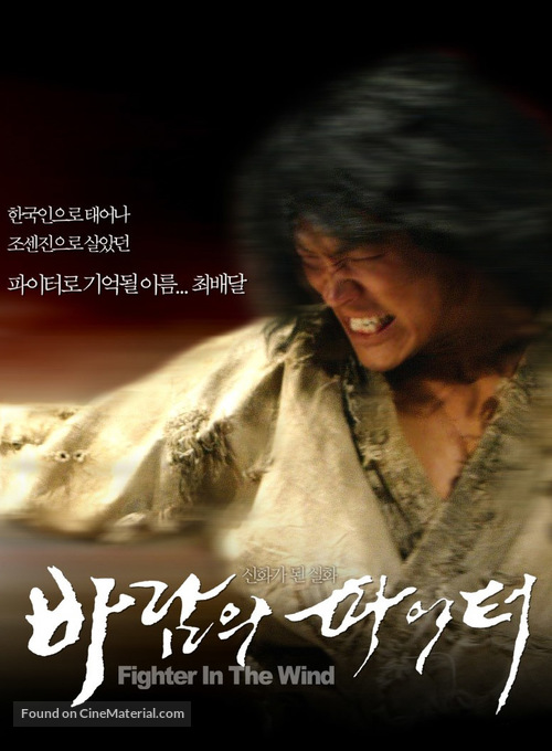 Baramui Fighter - South Korean Movie Poster