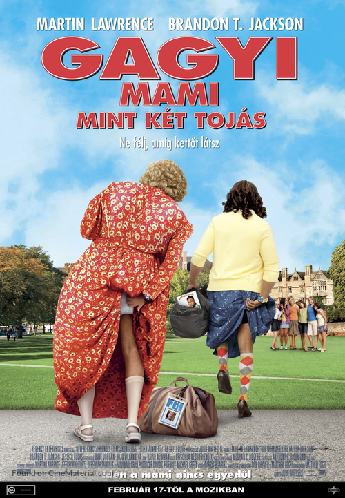 Big Mommas: Like Father, Like Son - Hungarian Movie Poster