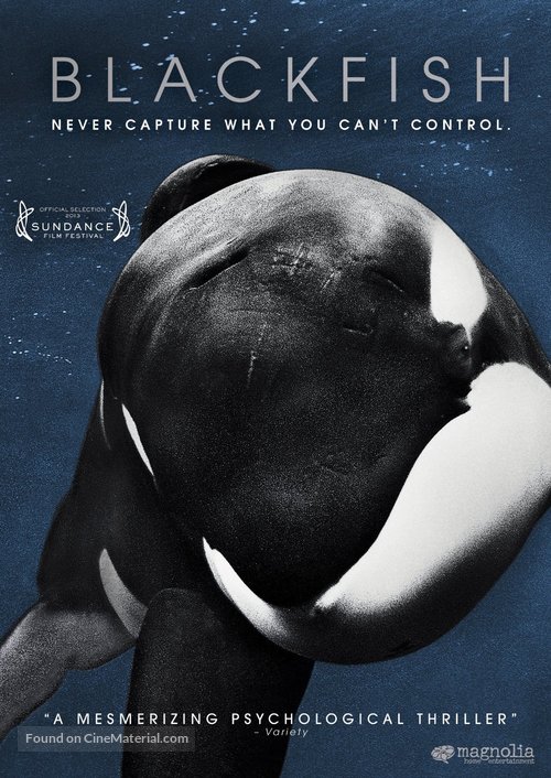 Blackfish - DVD movie cover