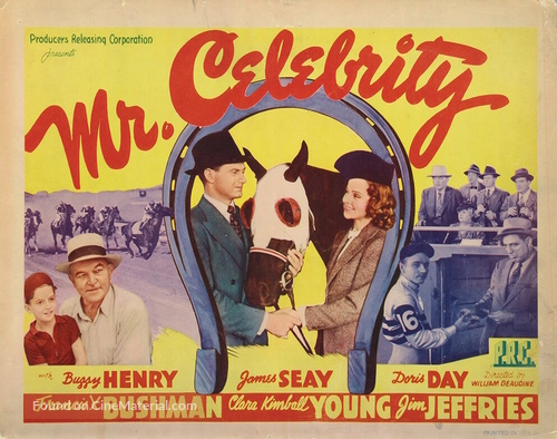 Mr. Celebrity - Movie Poster