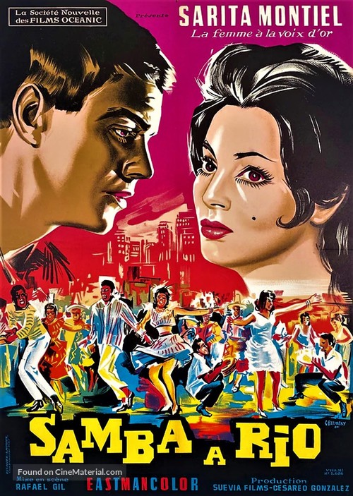 Samba - French Movie Poster