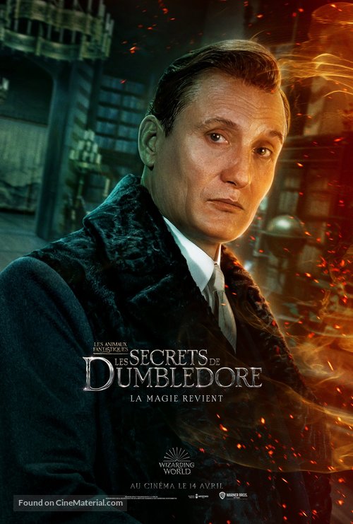 Fantastic Beasts: The Secrets of Dumbledore - French Movie Poster