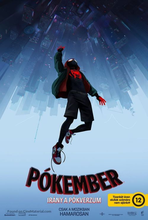 Spider-Man: Into the Spider-Verse - Hungarian Movie Poster