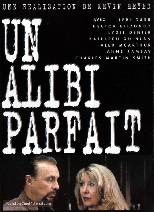 Perfect Alibi - French Movie Cover