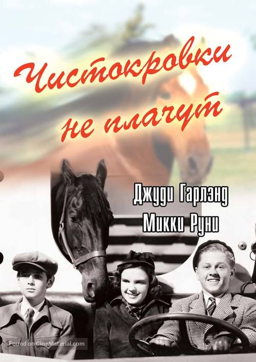 Thoroughbreds Don&#039;t Cry - Russian Movie Cover