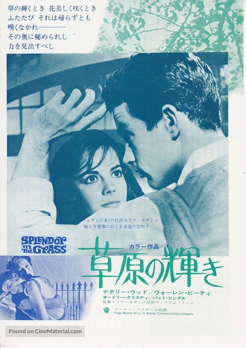 Splendor in the Grass - Japanese Movie Poster