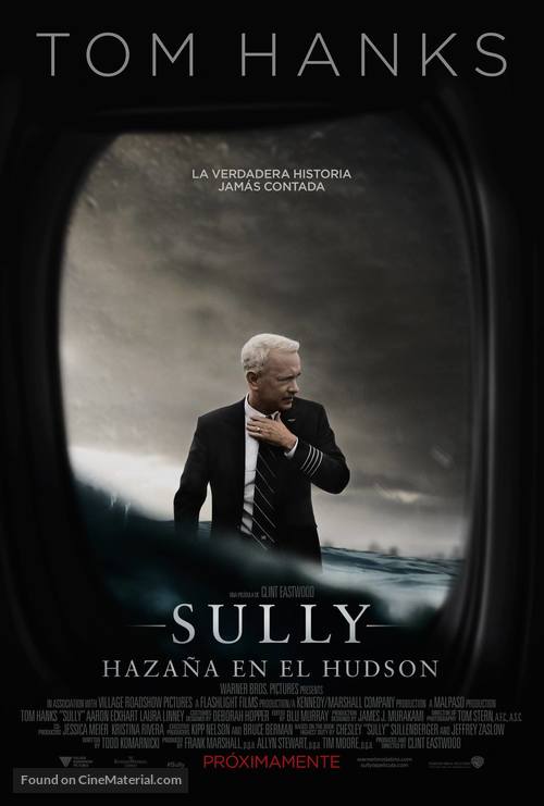 Sully - Argentinian Movie Poster