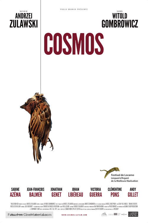 Cosmos - French Movie Poster