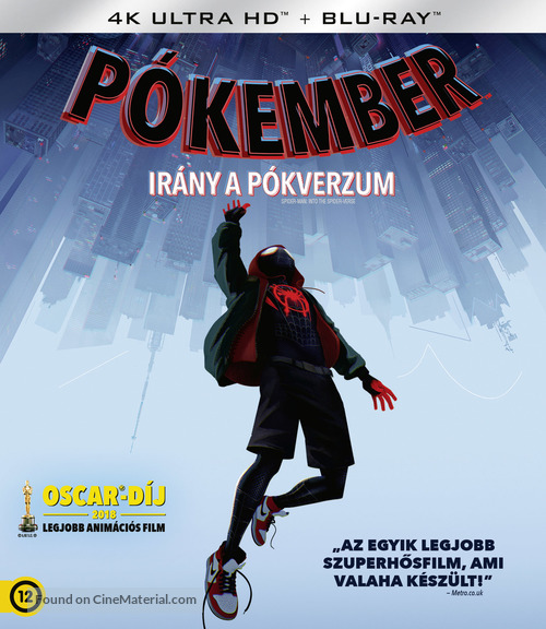 Spider-Man: Into the Spider-Verse - Hungarian Movie Cover