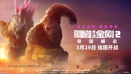 Godzilla x Kong: The New Empire - Chinese Movie Poster