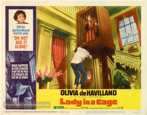 Lady in a Cage - poster