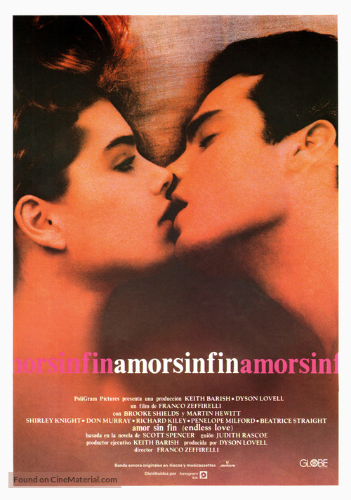 Endless Love - Spanish Movie Poster