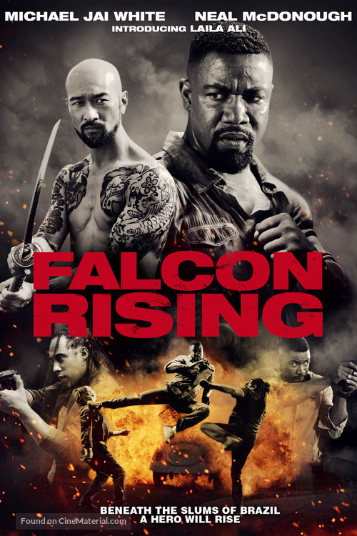 Falcon Rising - Movie Cover