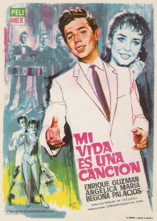 Mi vida es una canci&oacute;n - Spanish Movie Poster