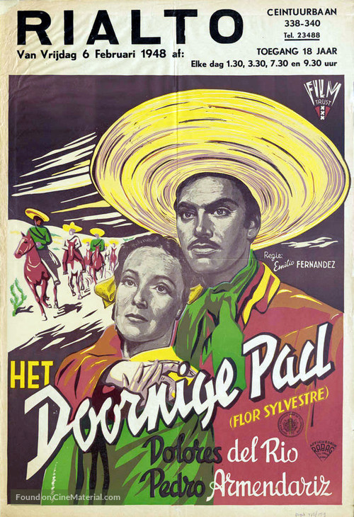Flor silvestre - Dutch Movie Poster