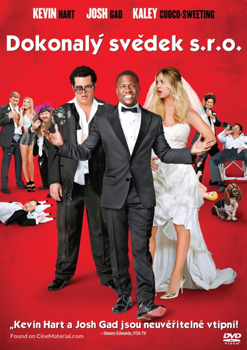 The Wedding Ringer - Czech DVD movie cover