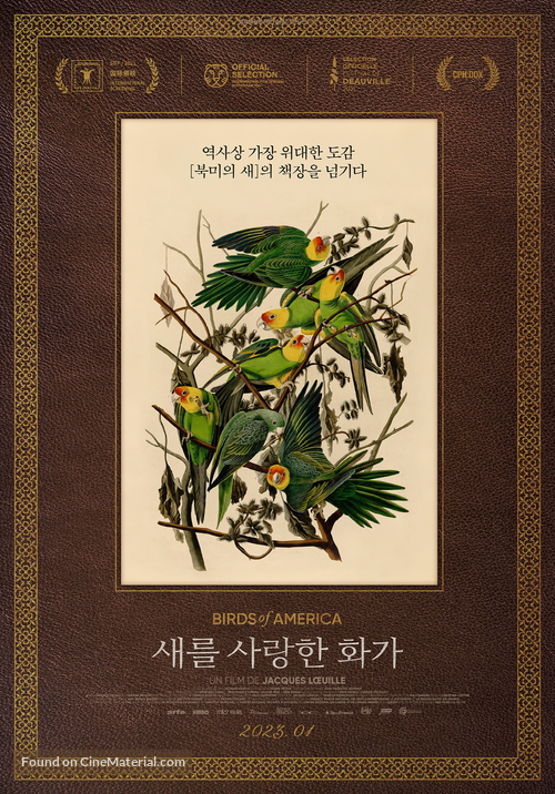 Birds of America - South Korean Movie Poster