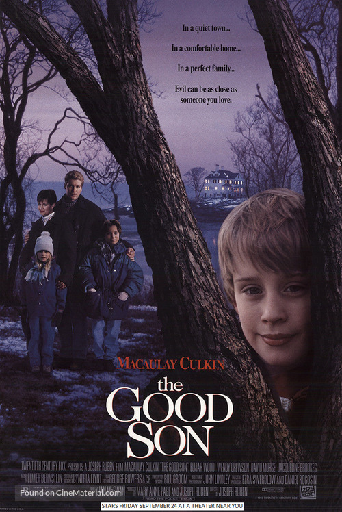 The Good Son - Movie Poster