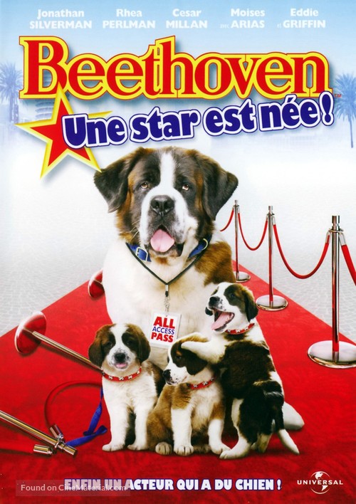 Beethoven&#039;s Big Break - French DVD movie cover