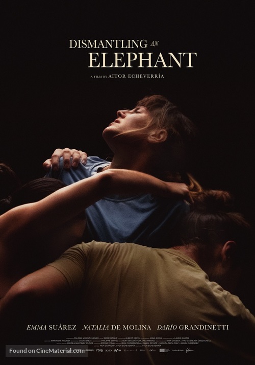 Desmontando un elefante - International Movie Poster