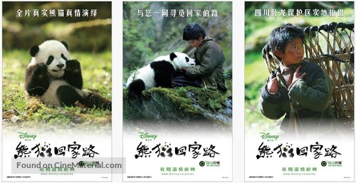 Touch of the Panda - Taiwanese Movie Poster
