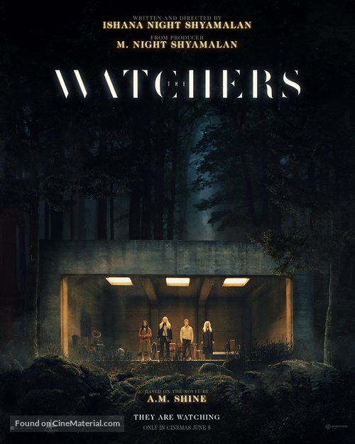 The Watchers - Irish Movie Poster