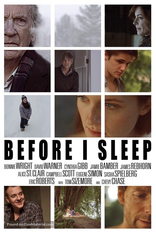 Before I Sleep - Movie Poster