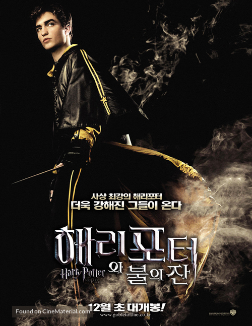 Harry Potter and the Goblet of Fire - South Korean Movie Poster