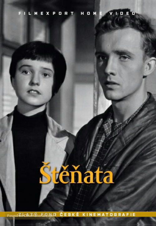Stenata - Czech DVD movie cover