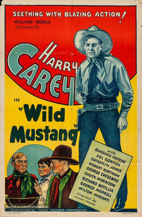 Wild Mustang - Movie Poster