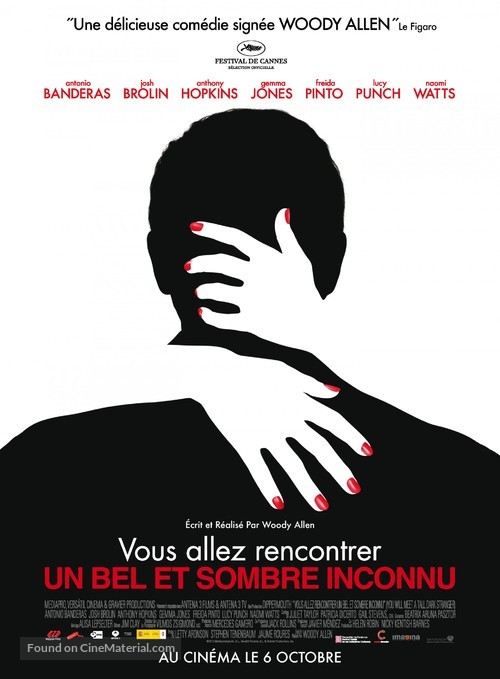 You Will Meet a Tall Dark Stranger - French Movie Poster