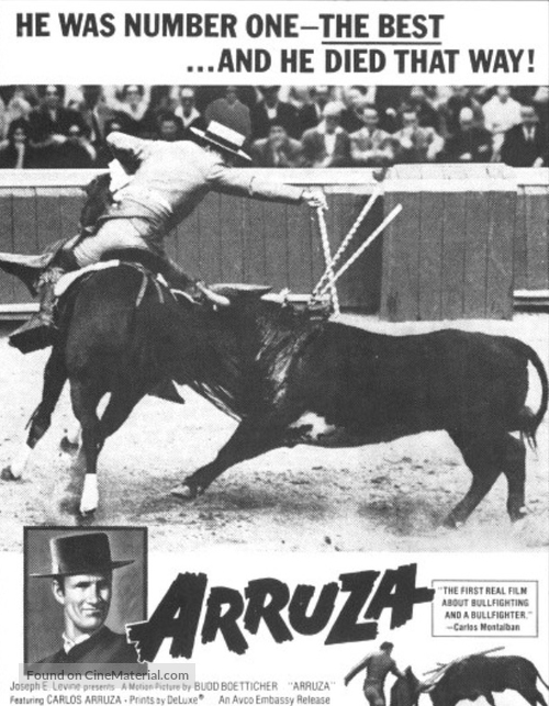 Arruza - Movie Poster