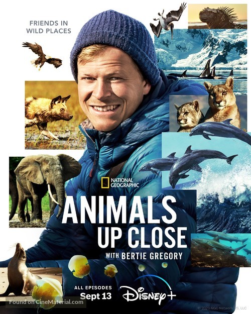 &quot;Animals Up Close with Bertie Gregory&quot; - Movie Poster